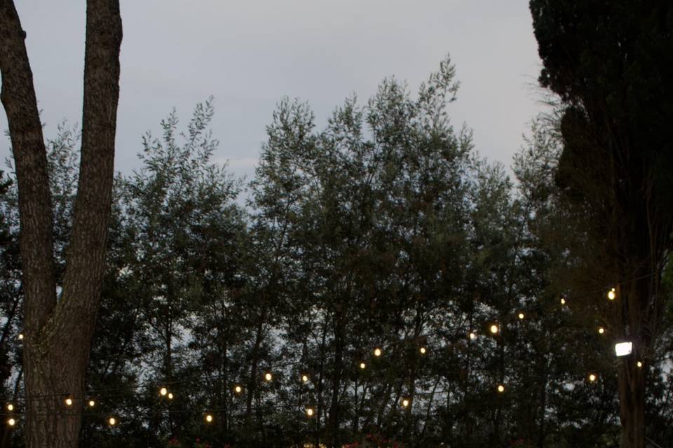 Allestimenti
