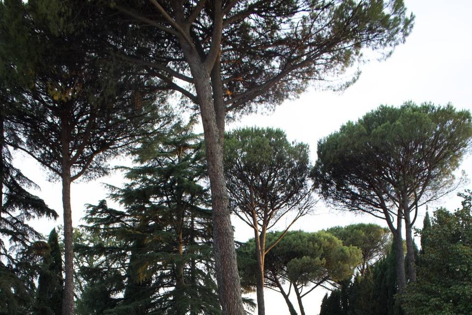 Allestimenti