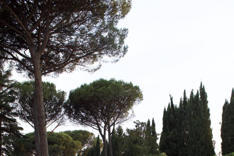 Allestimenti