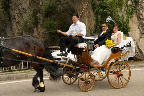 Trasporto con carrozza