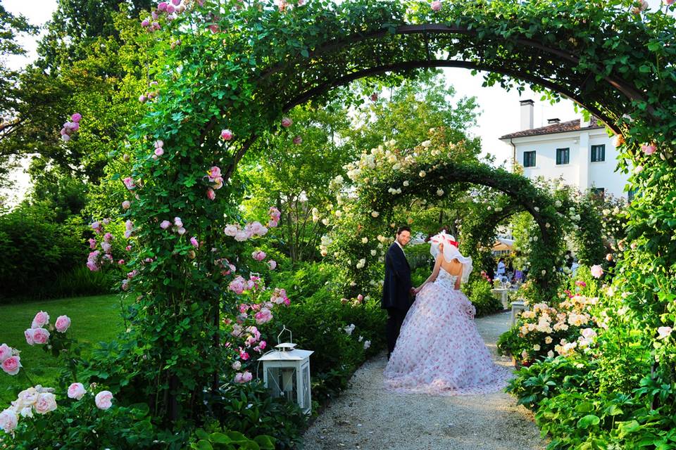 Gardens Roses