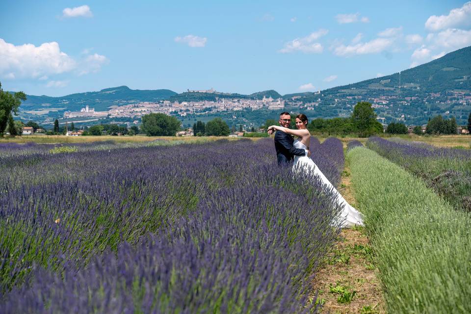 Lavender wedding in Assisi i