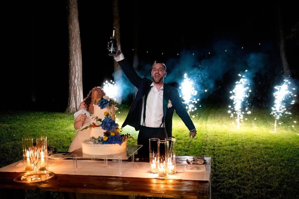 Taglio torta tra luci e magia