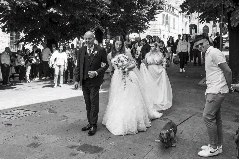 Assisi e la sposa