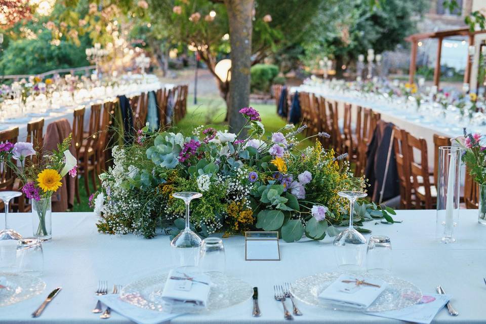 Giardino