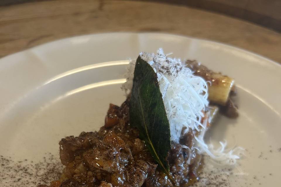 Ragu brace