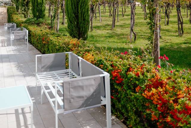 I nostri vigneti
