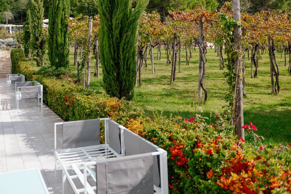 I nostri vigneti