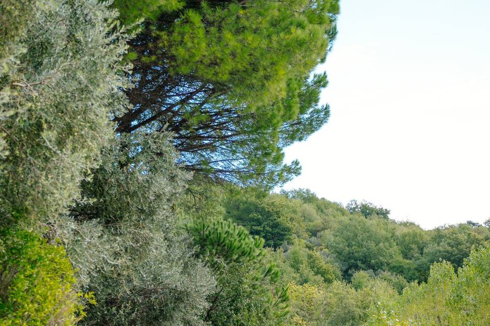 Gli esterni