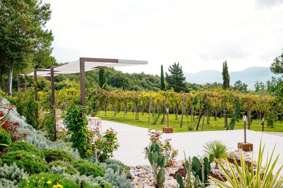 I nostri vigneti