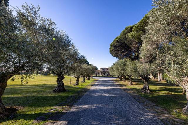 Viale