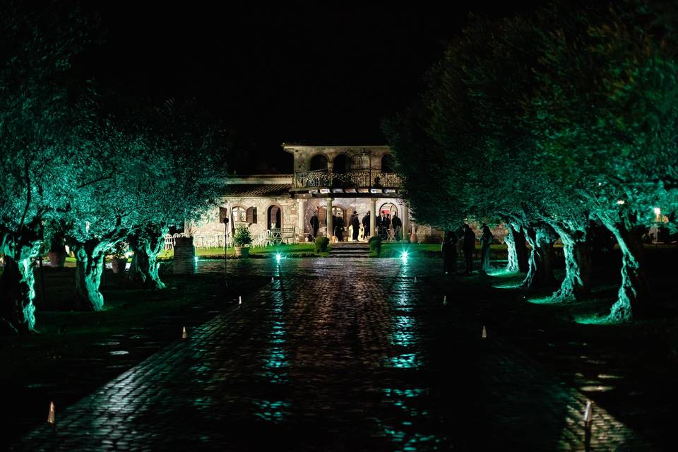 Viale