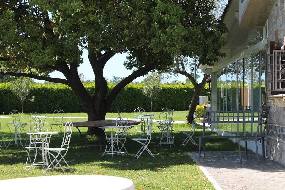 Giardini