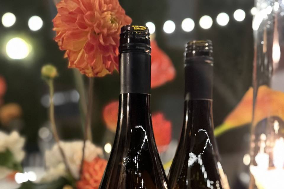 Vini Mezzacane