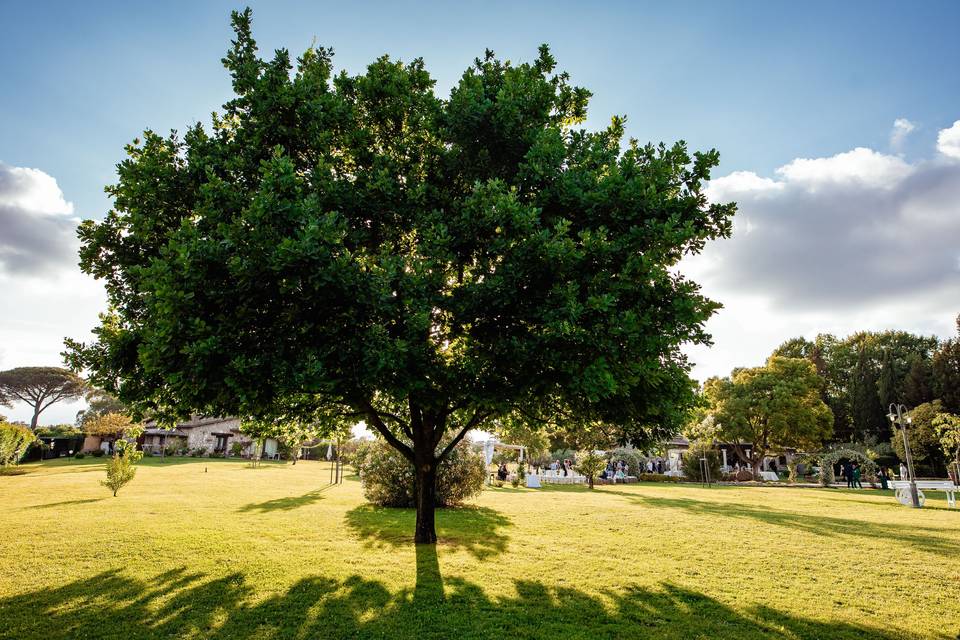 Giardini