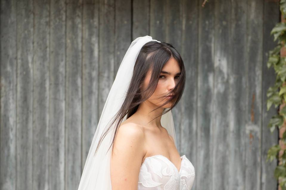 SPOSA