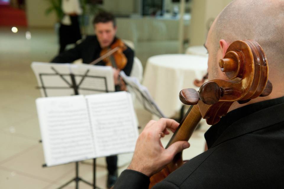 Arttrio