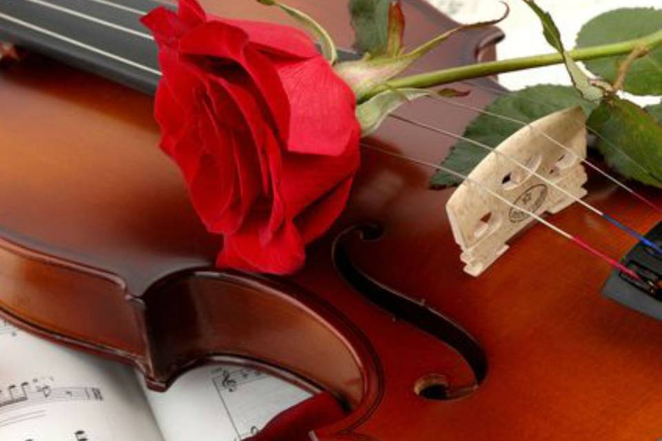 Violin and flower