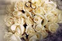 Candido come l'Amore
