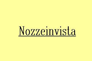 Nozzeinvista logo