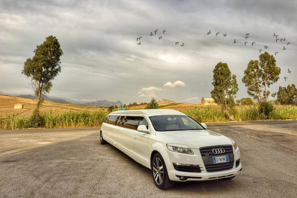 Nuova Limousine Audi q7