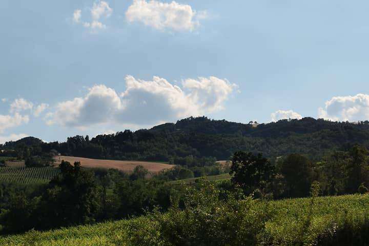 Tenuta Colombarola  (pc)