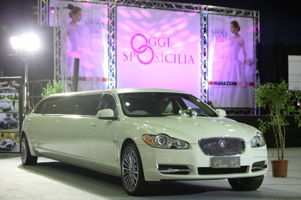 Limousine Jaguar XF unica