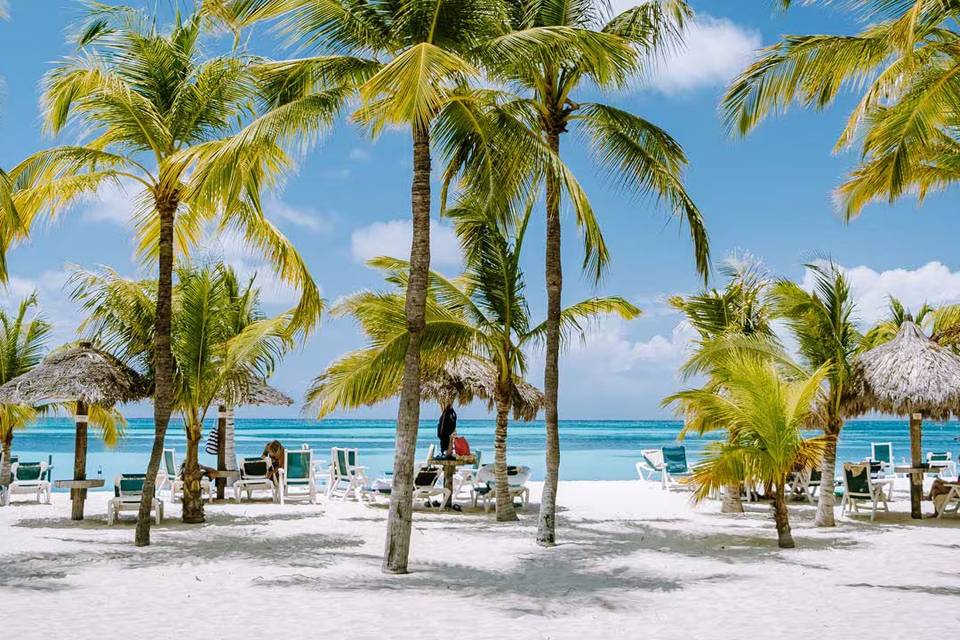 Aruba Cariabi