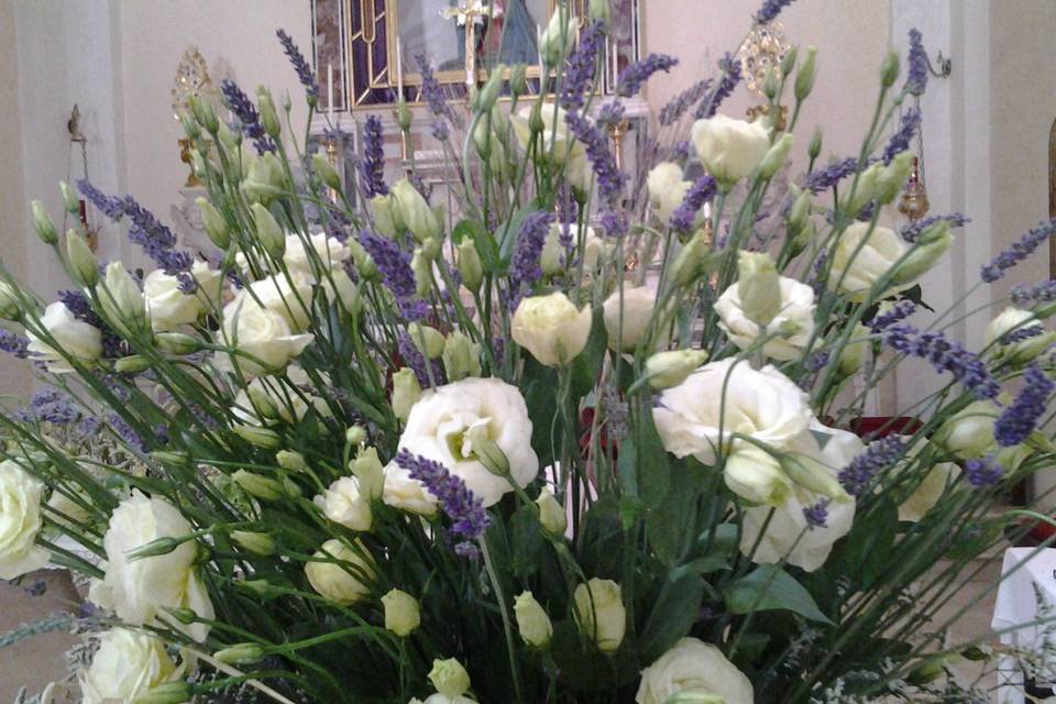 Lavanda e ortensie