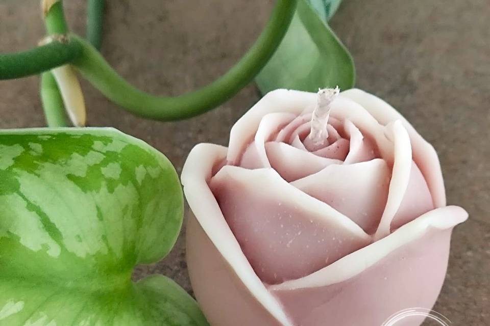 Rose in cera di soia profumata