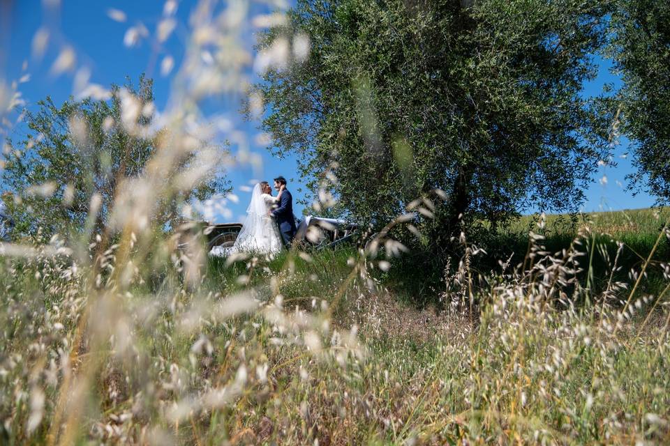 Campagna marchigiana