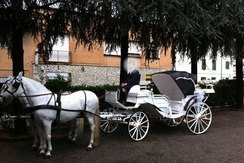 Wedding in Tuscany