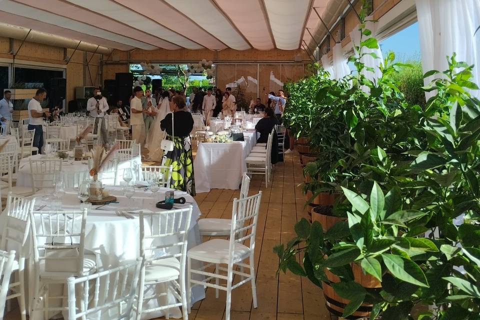 Matrimonio