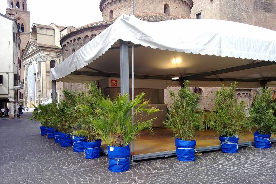 Allestimento floreale eventi