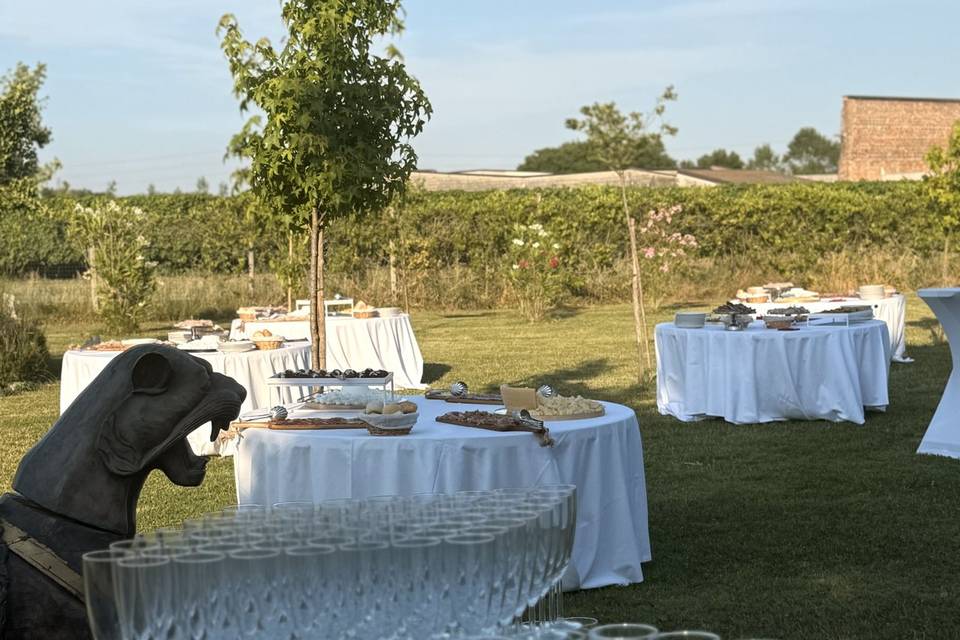 Matrimonio
