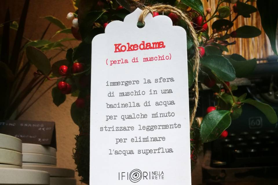 Tag istruzioni Kokedama