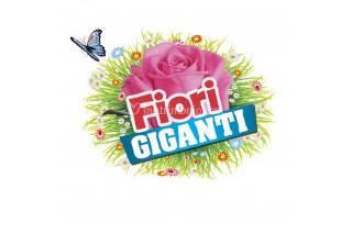 Fiori Giganti