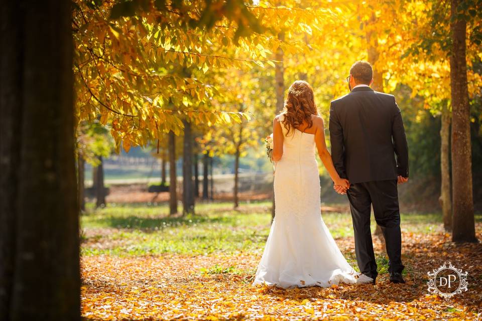 Autumn wedding