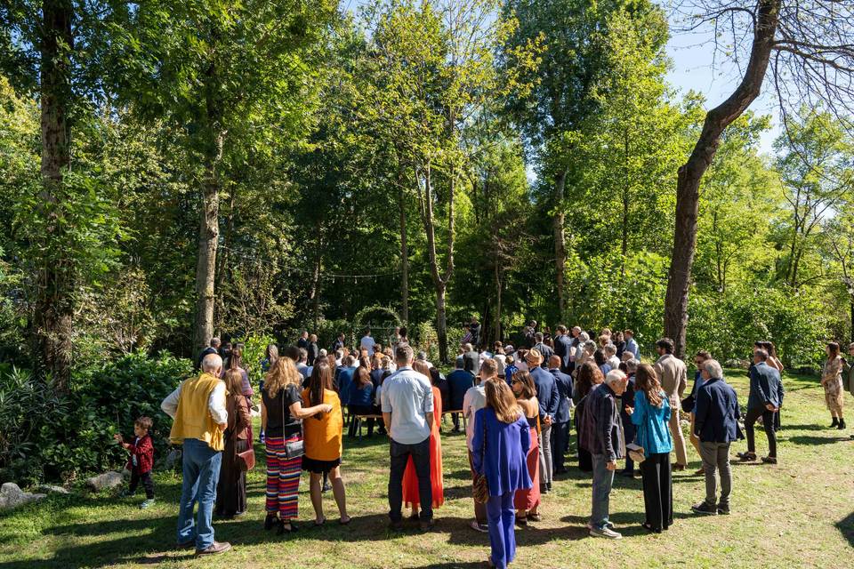 Una magica radura nel bosco