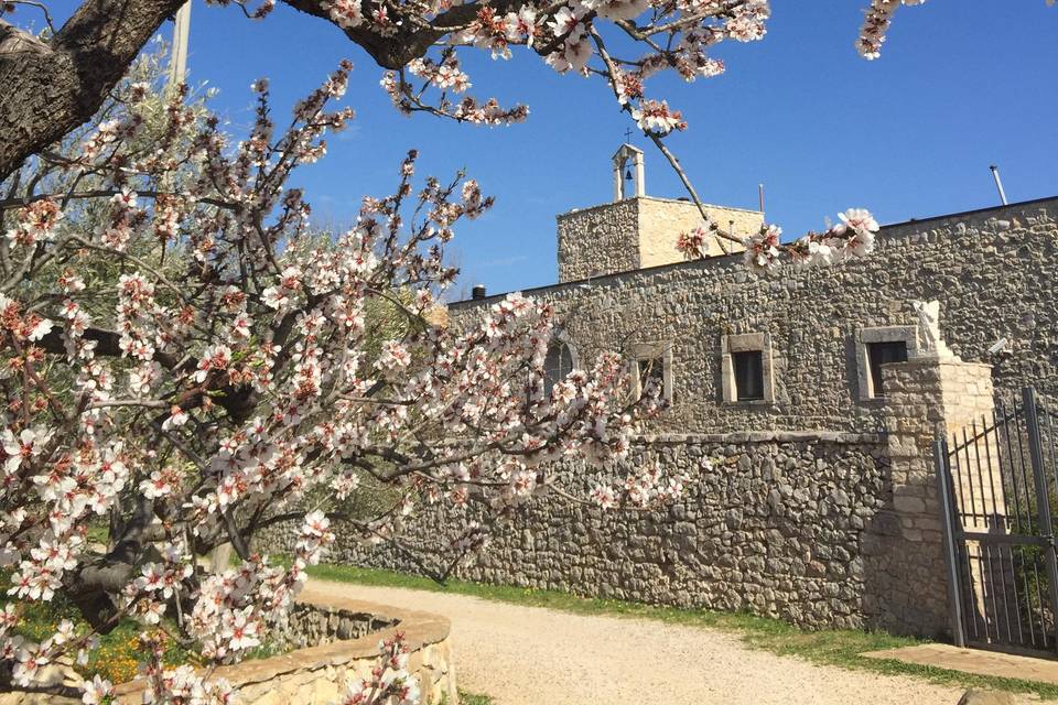 Masseria Storica Pilapalucci