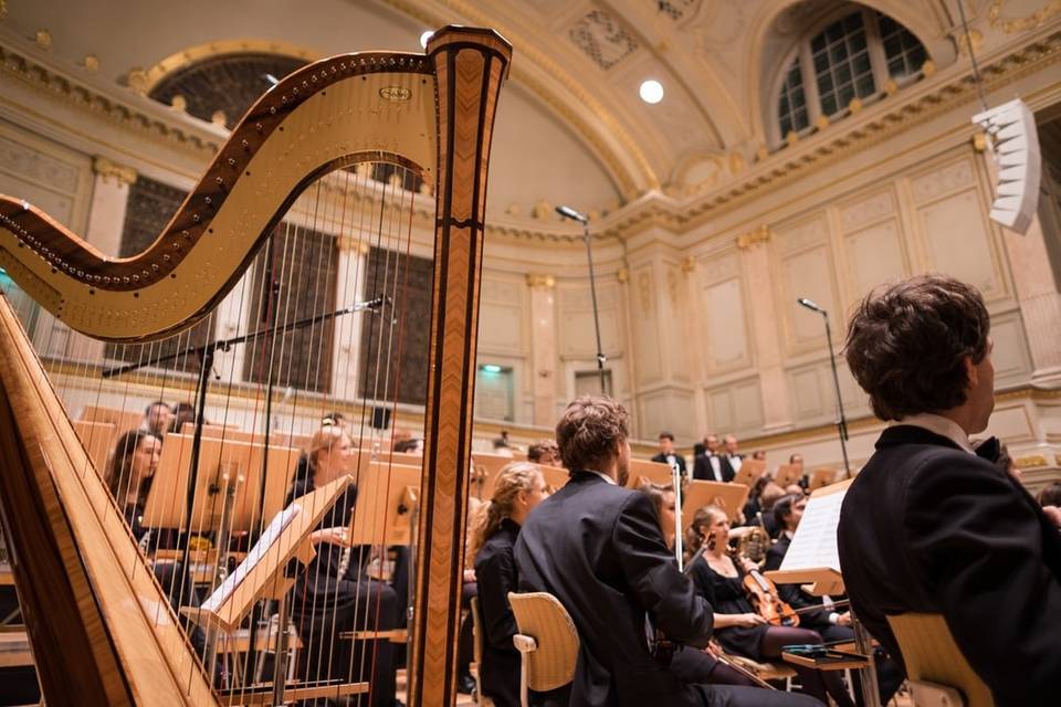 Musica Matrimonio Verona