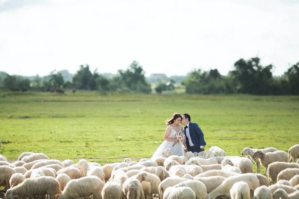 Country wedding verona