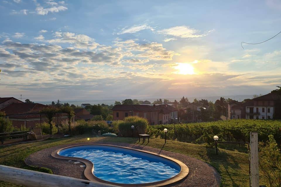 Piscina e vigneti al tramonto.