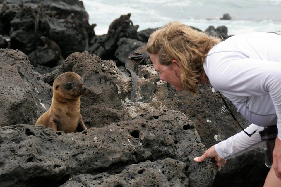 Galapagos