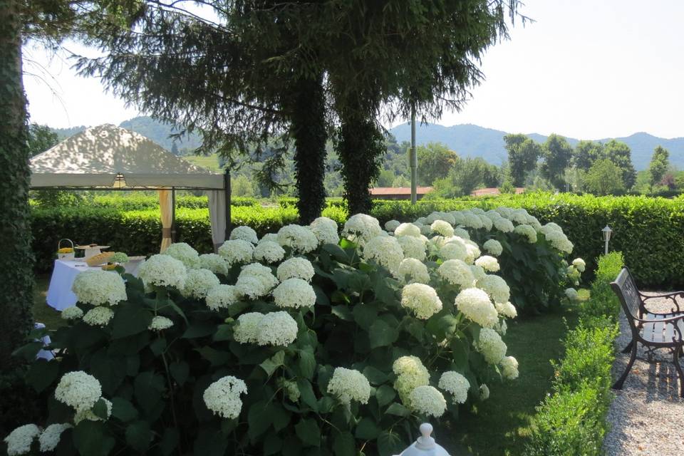 La Tenuta