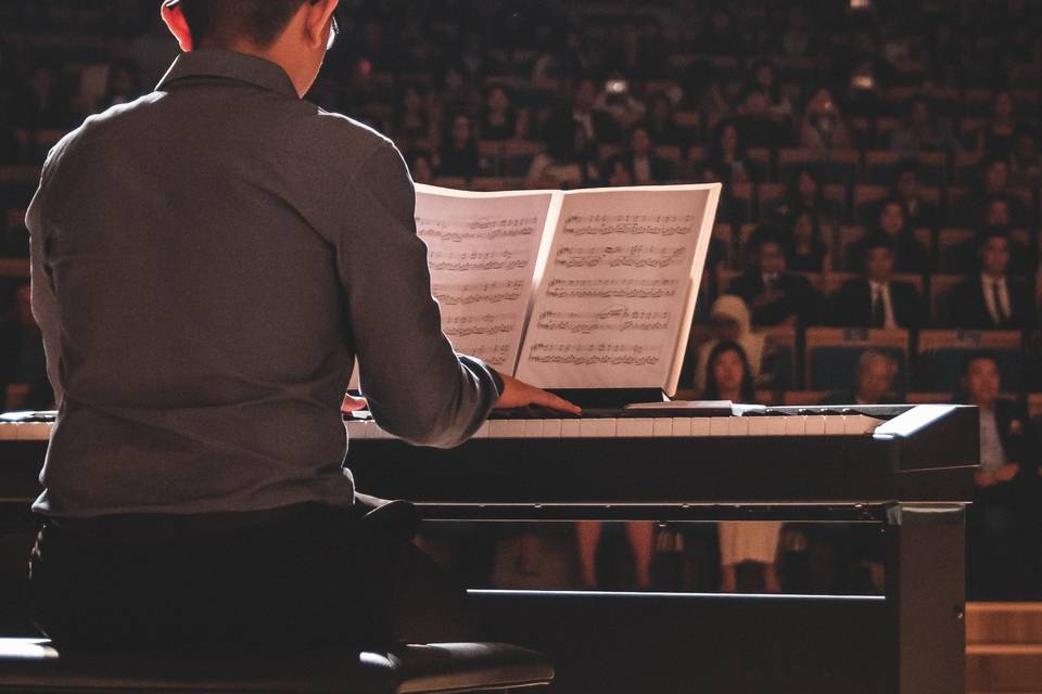 Pianista e Organista Vercelli