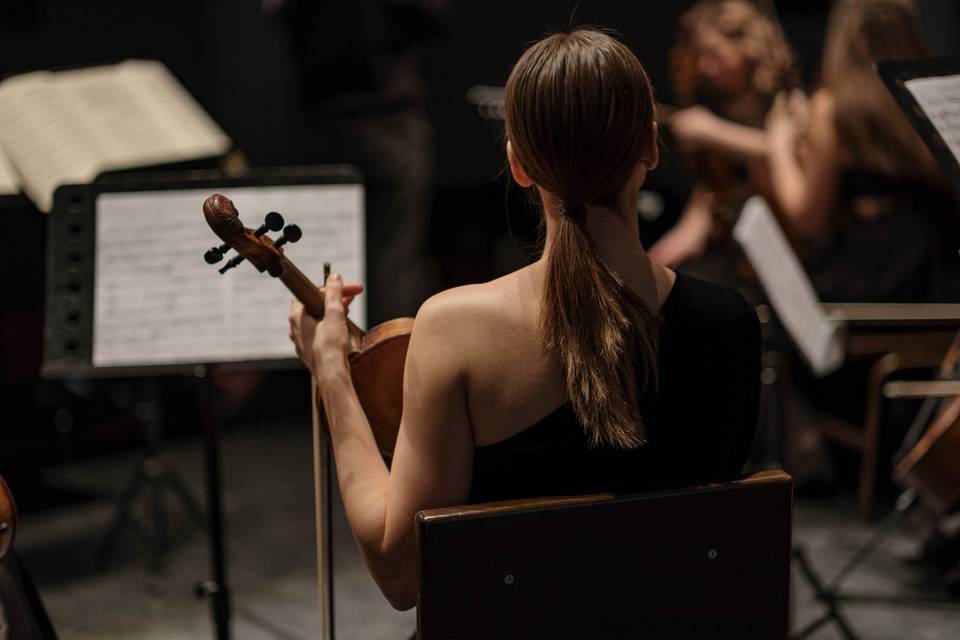 Pianista e Organista Vercelli