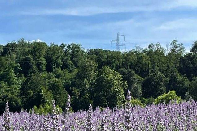 La natura circostante