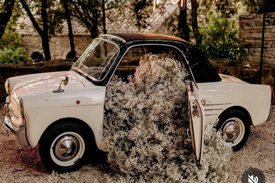 Trasformabile 1959