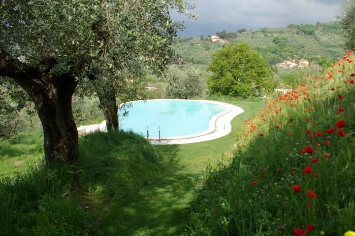 La piscina fra gli olivi e i fiori di maggio